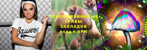 гашик Алзамай
