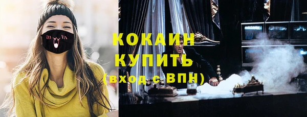 кокс Алексин