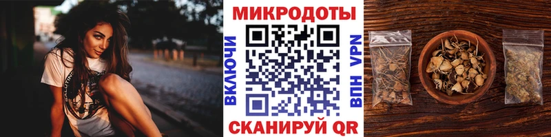 Галлюциногенные грибы MAGIC MUSHROOMS  хочу   Дмитриев 